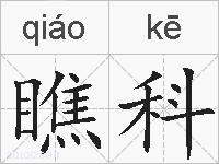 瞧科的拼音