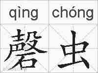 磬虫的拼音