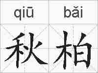 秋柏的拼音