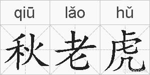 秋老虎的拼音