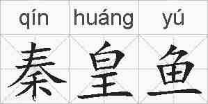 秦皇鱼的拼音