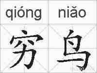 穷鸟的拼音