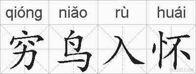 穷鸟入怀的拼音