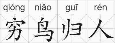 穷鸟归人的拼音