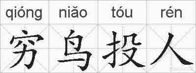 穷鸟投人的拼音