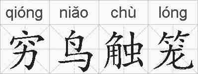 穷鸟触笼的拼音