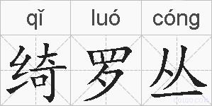 绮罗丛的拼音