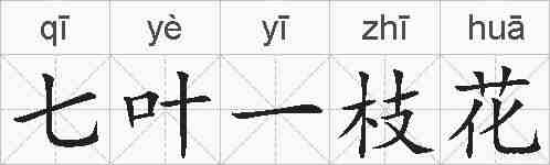七叶一枝花的拼音