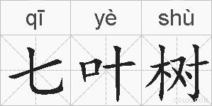 七叶树的拼音