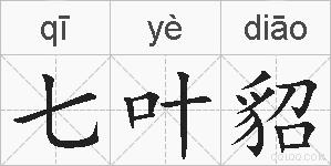 七叶貂的拼音