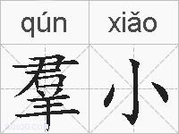 羣小的拼音