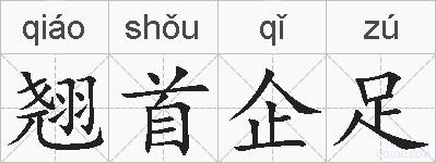 翘首企足的拼音