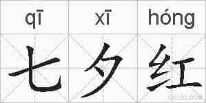 七夕红的拼音