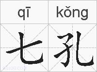 七孔的拼音