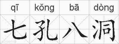七孔八洞的拼音