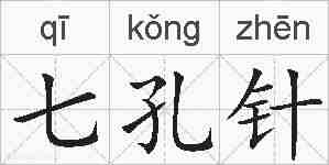 七孔针的拼音