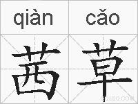 茜草的拼音