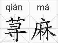 荨麻的拼音