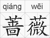 蔷薇的拼音