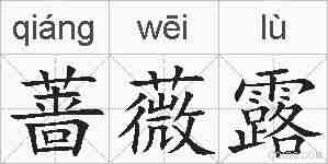 蔷薇露的拼音