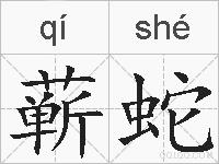 蕲蛇的拼音
