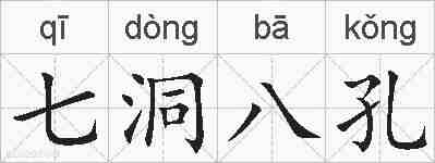 七洞八孔的拼音