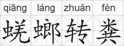 蜣螂转粪的拼音