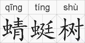 蜻蜓树的拼音