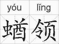 蝤领的拼音