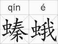 螓蛾的拼音