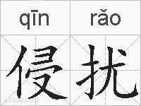 侵扰的拼音