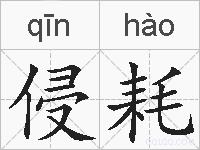 侵耗的拼音