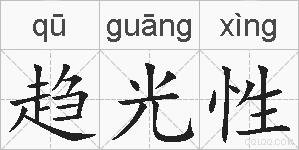 趋光性的拼音