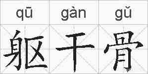 躯干骨的拼音