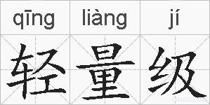 轻量级的拼音