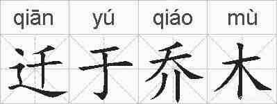 迁于乔木的拼音