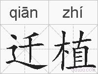 迁植的拼音