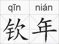 钦年的拼音