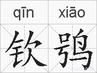 钦鸮的拼音