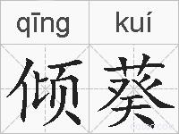 倾葵的拼音