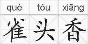 雀头香的拼音