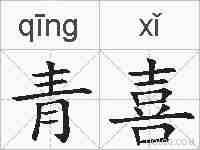 青喜的拼音