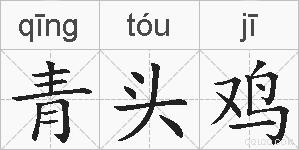 青头鸡的拼音
