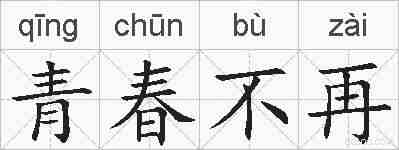青春不再的拼音