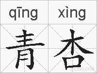 青杏的拼音