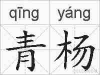 青杨的拼音