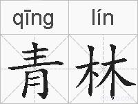 青林的拼音