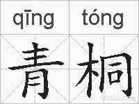 青桐的拼音