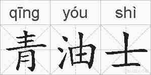 青油士的拼音