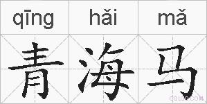 青海马的拼音